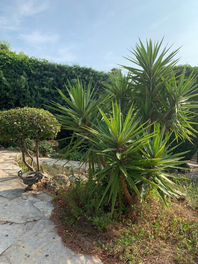 Villa Soledad Cassis Exteriér fotografie